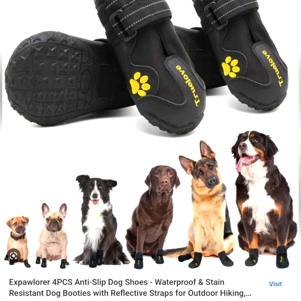 🐾 Expawlorer Anti-Slip Dog Shoes